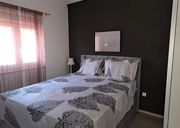 Apartman Zoran *