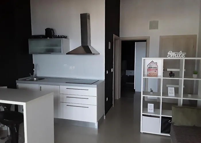 Zoran Apartamento